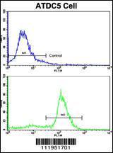 Anti-ALDH5A1 Rabbit Polyclonal Antibody (APC (Allophycocyanin))