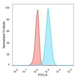 Antibody anti-EIF4E pcrp-EIF4E-1D3 100 µg