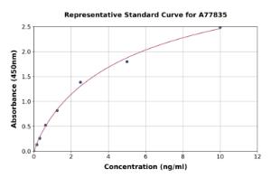 Representative standard curve for Human CD38 ELISA kit (A77835)