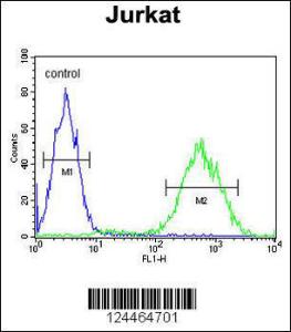 Anti-PRUNE Rabbit Polyclonal Antibody (PE (Phycoerythrin))