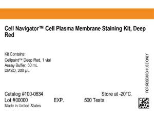 Cell Navigator™ Cell Plasma Membrane Staining kit, Green