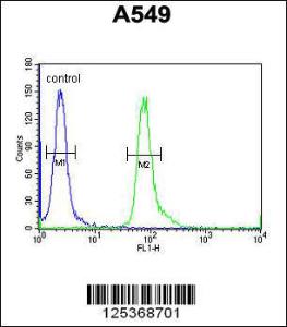 Anti-FAM46D Rabbit Polyclonal Antibody (Biotin)