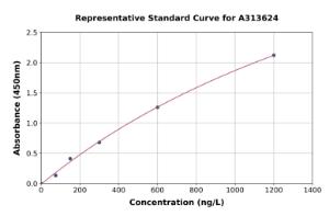 Representative standard curve for human IL-20 ELISA kit (A313624)