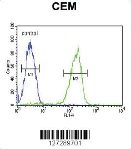 Anti-MAP1S Rabbit Polyclonal Antibody