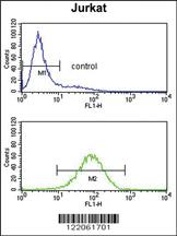 Anti-PLCL1 Rabbit Polyclonal Antibody