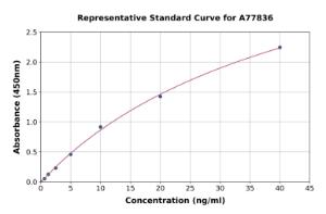 Representative standard curve for Human CD3 epsilon ELISA kit (A77836)