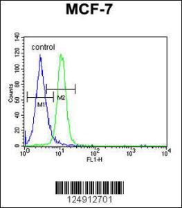 Anti-PSG7 Rabbit Polyclonal Antibody (HRP (Horseradish Peroxidase))