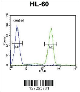 Anti-AFTPH Rabbit Polyclonal Antibody