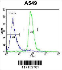 Anti-ALOX12B Rabbit Polyclonal Antibody (HRP (Horseradish Peroxidase))