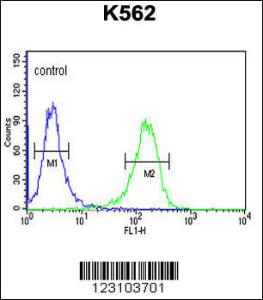 Anti-TSPEAR Rabbit Polyclonal Antibody (AP (Alkaline Phosphatase))