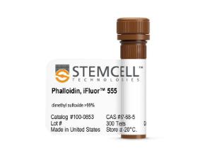 Phalloidin, iFluor™ 555