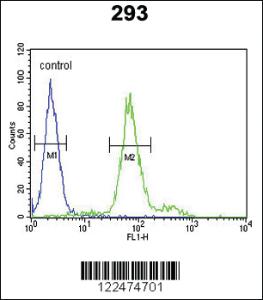 Anti-KLF16 Rabbit Polyclonal Antibody