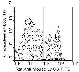 Anti-KIT Rat Monoclonal Antibody (APC (Allophycocyanin)) [clone: 2B8]