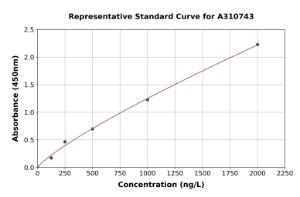 Representative standard curve for Human CAGE1 ELISA kit (A310743)