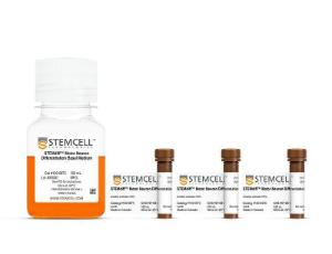 STEMdiff™ Motor Neuron Differentiation kit