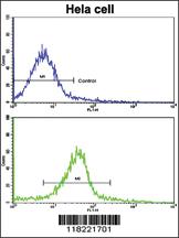 Anti-GLRX2 Rabbit Polyclonal Antibody