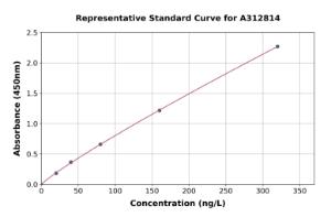 Representative standard curve for Human IL-17A ELISA kit (A312814)