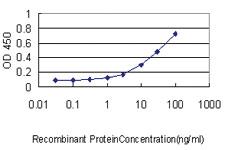 Anti-IRF9 Mouse Monoclonal Antibody [clone: 1D11]