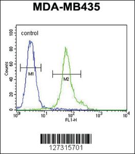 Anti-COCH Rabbit Polyclonal Antibody