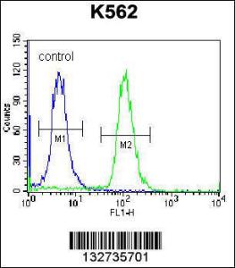 Anti-AMELX Rabbit Polyclonal Antibody (PE (Phycoerythrin))