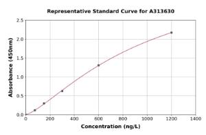 Representative standard curve for mouse Cyclin B1 ELISA kit (A313630)