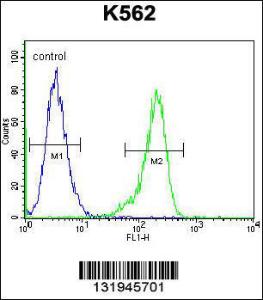 Anti-RPS19 Rabbit Polyclonal Antibody