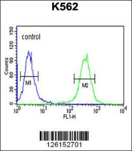 Anti-ELP6 Rabbit Polyclonal Antibody