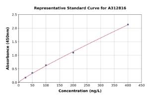 Representative standard curve for Human RBM46 ELISA kit (A312816)