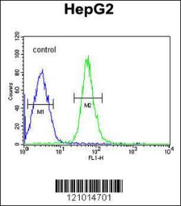 Anti-HMGA2 Rabbit Polyclonal Antibody (FITC (Fluorescein Isothiocyanate))