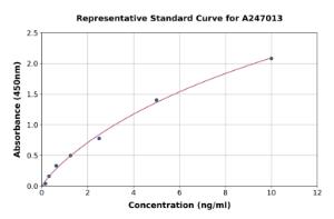 Representative standard curve for Human HOPX/HOD ELISA kit (A247013)