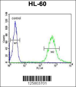 Anti-WDTC1 Rabbit Polyclonal Antibody (AP (Alkaline Phosphatase))