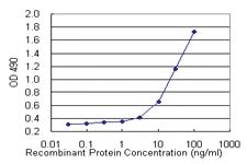 Anti-NMI Polyclonal Antibody Pair