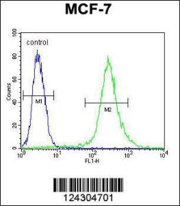 Anti-RPS24 Rabbit Polyclonal Antibody