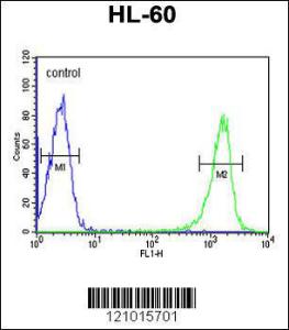 Anti-PSME1 Rabbit Polyclonal Antibody (APC (Allophycocyanin))