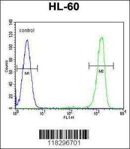 Anti-ITIH1 Rabbit Polyclonal Antibody (HRP (Horseradish Peroxidase))