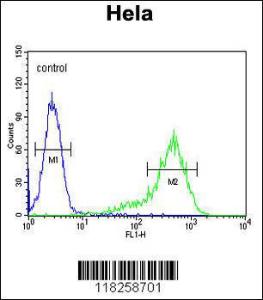 Anti-ANGPTL1 Rabbit Polyclonal Antibody