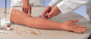 Models to practice venipuncture, catheter and other things