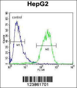 Anti-CHPT1 Rabbit Polyclonal Antibody (HRP (Horseradish Peroxidase))