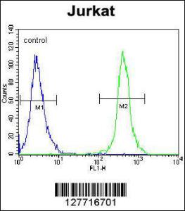 Anti-SLC43A2 Rabbit Polyclonal Antibody