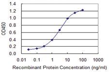 Anti-ABCC8 Mouse Monoclonal Antibody [clone: 3E1]