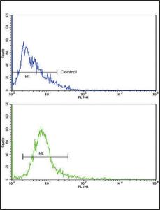 Anti-MRP Rabbit Polyclonal Antibody