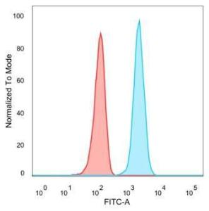 Flow cytometric analysis of PFA fixed HeLa cells using Anti-STAT5A Antibody [PCRP-STAT5A-1A11] followed by Goat Anti-Mouse IgG (CF&#174; 488) (Blue). Isotype Control (Red)