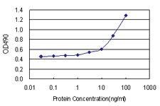 Anti-ICAM1 Antibody Pair