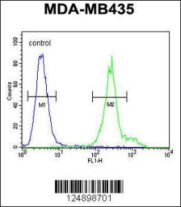 Anti-ANKFY1 Rabbit Polyclonal Antibody (HRP (Horseradish Peroxidase))