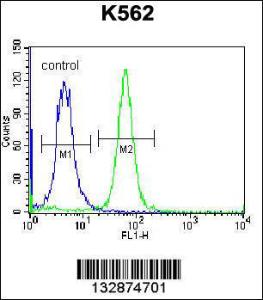 Anti-PSORS1C1 Rabbit Polyclonal Antibody (APC (Allophycocyanin))