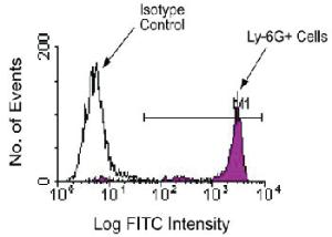 Anti-LY6G Rat Monoclonal Antibody (APC (Allophycocyanin)) [clone: RB6-8C5]