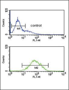 Anti-ANKH Rabbit Polyclonal Antibody (AP (Alkaline Phosphatase))