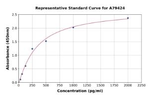 Representative standard curve for Mouse HGF ELISA kit (A79424)