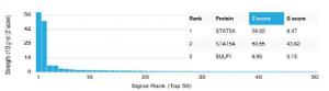 Analysis of protein array containing more than 19000 full-length human proteins using Anti-STAT5A Antibody [PCRP-STAT5A-1A11]