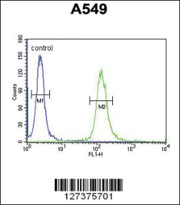 Anti-LOH12CR1 Rabbit Polyclonal Antibody